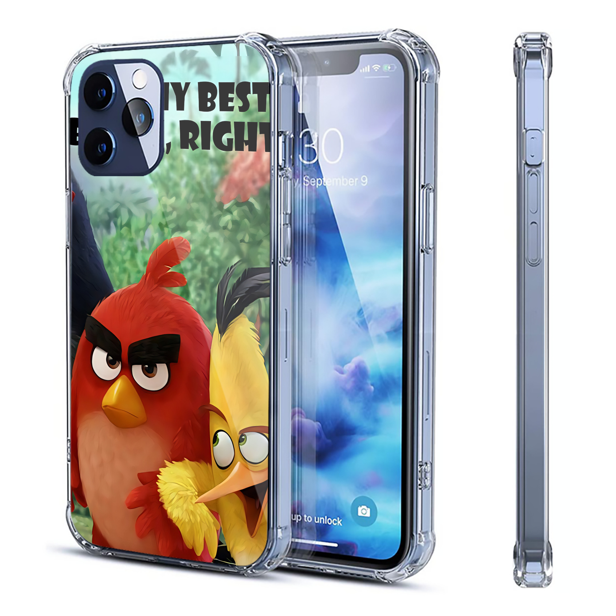 （画像用） Angry Birds アングリーバード 【iPhone 12シリーズ対応】透明スマホケース（クリアソフトケース）